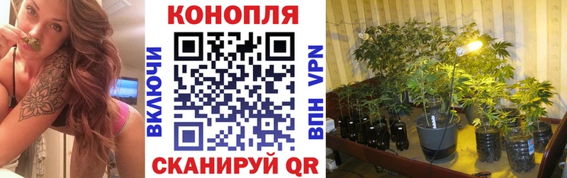 Купить закладку Яблоновский Альфа ПВП Конопля Мефедрон МЕТАДОН ГАШ